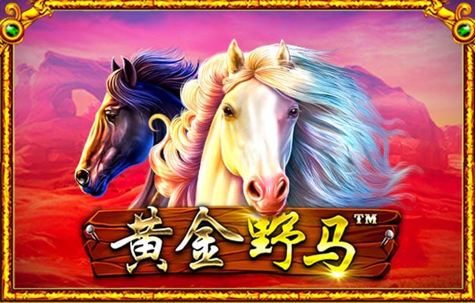 大发体育官网网站下载